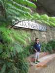 Sydney, 24th January 2014 - Taronga Zoo, Circular Quay