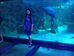 Sydney, 27th January 2014 - Sydney Aquarium, Madame Tussauds and a walk to Luna Park