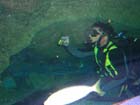 Dan Gaugin dives with Sharks at AQWA, Western Australia -  62 of 86
