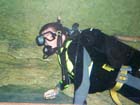 Dan Gaugin dives with Sharks at AQWA, Western Australia -  65 of 86