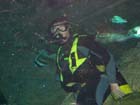 Dan Gaugin dives with Sharks at AQWA, Western Australia
