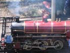 Castledare Miniture Railway -  28 of 51