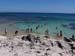 A day trip to Rottnest Island -  12 of 141