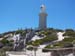 A day trip to Rottnest Island -  24 of 141