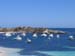 A day trip to Rottnest Island -  85 of 141