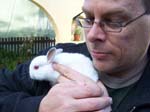 New dwarf rabbit, Lychee -  13 of 24