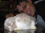 Eulogy for Cream, the Dwarf Lop Rabbit -  26 of 118