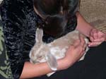 Eulogy for Cream, the Dwarf Lop Rabbit -  57 of 118