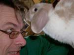 Eulogy for Cream, the Dwarf Lop Rabbit -  106 of 118