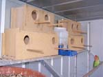 Bird Nesting Boxes -  6 of 8
