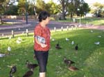 Feeding the birds at Neil Hawkins Park -  4 of 36