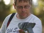 Feeding the birds at Neil Hawkins Park -  6 of 36