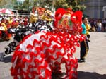 Chinese New Year celebrations in Perth -  51 of 194