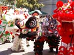 Chinese New Year celebrations in Perth -  54 of 194