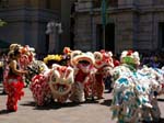 Chinese New Year celebrations in Perth -  66 of 194