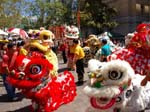 Chinese New Year celebrations in Perth -  92 of 194