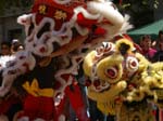 Chinese New Year celebrations in Perth -  187 of 194