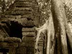 Temples of Angkor Wat -  157 of 180