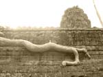 Temples of Angkor Wat -  166 of 180