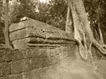 Temples of Angkor Wat -  167 of 180