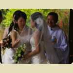 Peter Ng and Lena Chins Wedding -  42 of 90