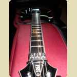 New PRS SE Torero Guitar