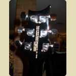 New PRS SE Torero Guitar