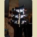 New PRS SE Torero Guitar -  38 of 46