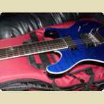 New PRS SE Torero Guitar -  44 of 46