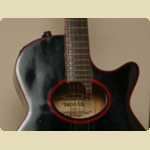 Denver acoustic guitar, model EF240BR. A cheap acoustic I purchased some time in the late 80s as my first acoustic, after going to the music store every day for two weeks. Whilst its cheap, and probably made from lesser quality woods, the combination of
