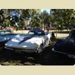 Whiteman Park Car Show 2013 -  33 of 203