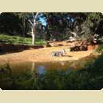 Trip to Perth Zoo