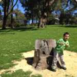 We took a bike ride around Lake Joondalup, and these are some of the pictures