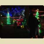 Twilight Markets and Christmas Lights -  38 of 68