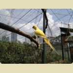 Bird Park in Kuala Lumpur, Malaysia
