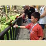 Bird Park in Kuala Lumpur, Malaysia -  115 of 224