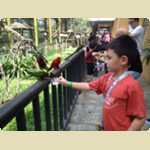 Bird Park in Kuala Lumpur, Malaysia -  117 of 224