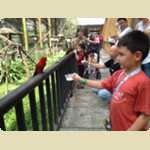 Bird Park in Kuala Lumpur, Malaysia -  118 of 224