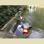 Bird Park in Kuala Lumpur, Malaysia