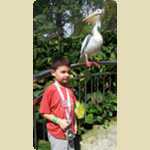 Bird Park in Kuala Lumpur, Malaysia -  174 of 224