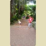 Bird Park in Kuala Lumpur, Malaysia -  208 of 224