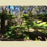 Araluen 2015 -  141 of 246