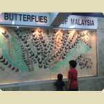 Kuala Lumpur Butterfly Park, Malaysia