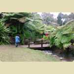 Araluen Botanical park in Roleystone -  30 of 376