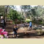 Araluen Botanical park in Roleystone -  34 of 376