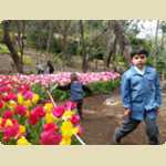 Araluen Botanical park in Roleystone -  50 of 376