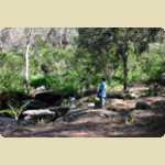 Araluen Botanical park in Roleystone -  62 of 376