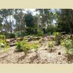 Araluen Botanical park in Roleystone -  64 of 376