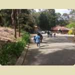 Araluen Botanical park in Roleystone -  68 of 376