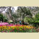 Araluen Botanical park in Roleystone -  82 of 376